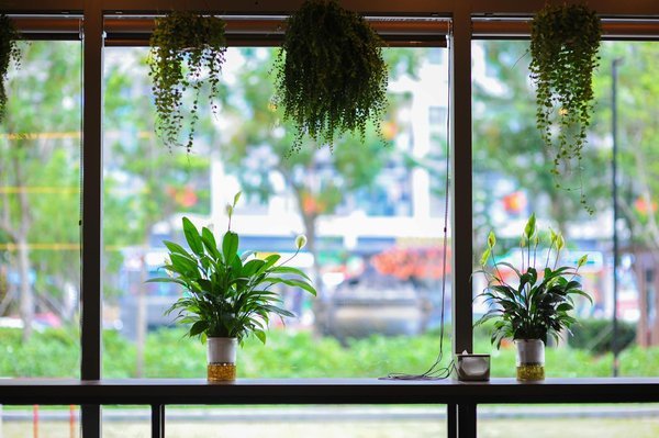 Guide d'achat : comment bien choisir ses bandes dessinées